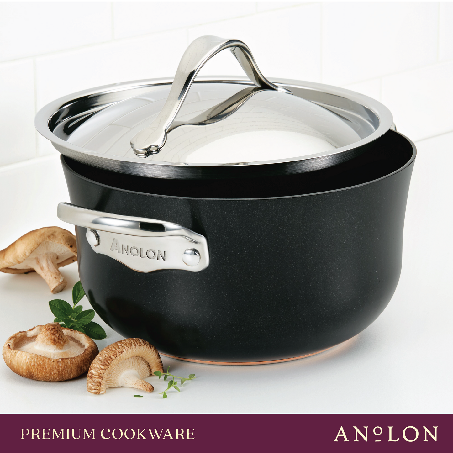 
                  
                    20cm/3.8L Anodized Easy-Clean Lid Soup Pot
                  
                